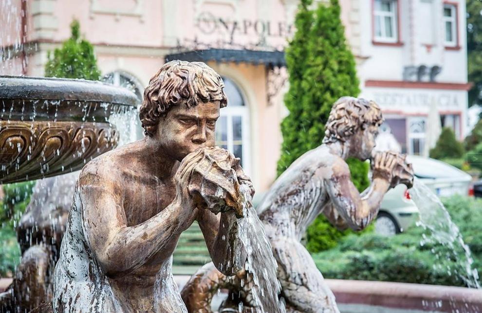 Hotel Napoleon Wroblew  Eksteriør billede